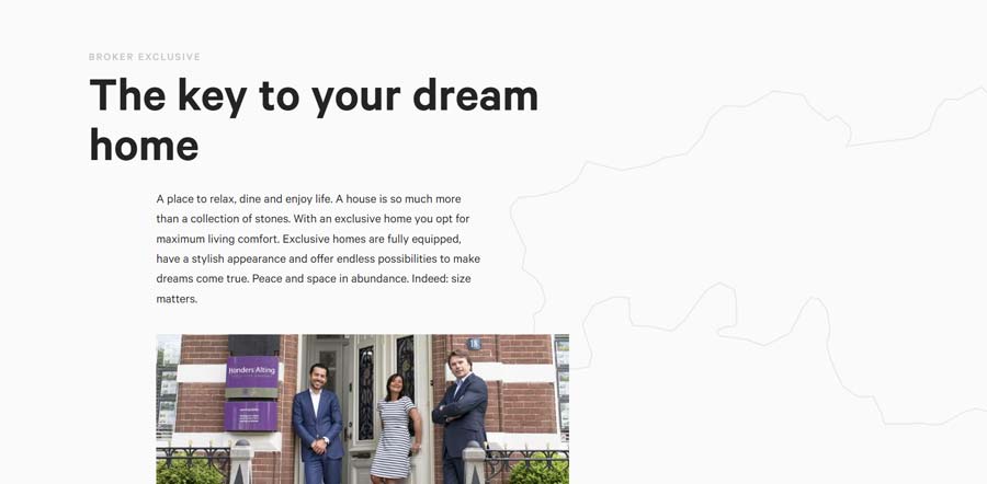 screen shot of honder salting website